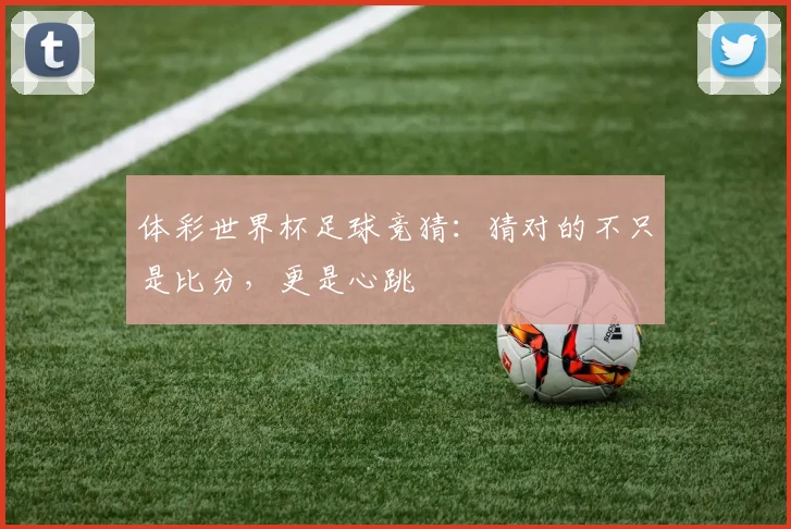 体彩世界杯足球竞猜：猜对的不只是比分，更是心跳