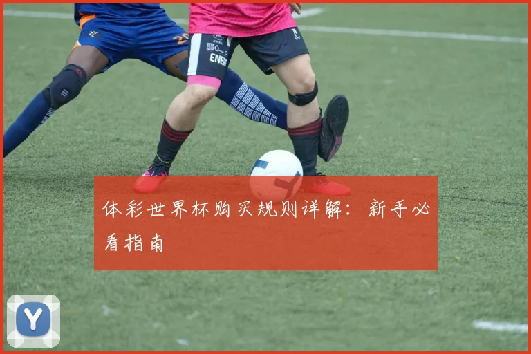体彩世界杯购买规则详解:新手必看指南
