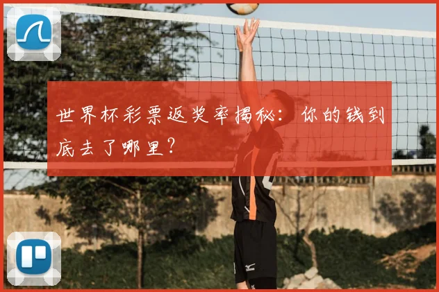 世界杯彩票返奖率揭秘：你的钱到底去了哪里？