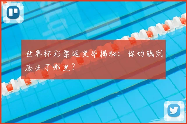 世界杯彩票返奖率揭秘：你的钱到底去了哪里？