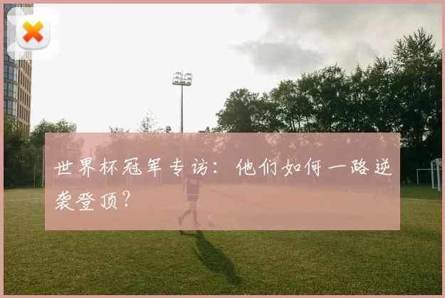 世界杯冠军专访：他们如何一路逆袭登顶？