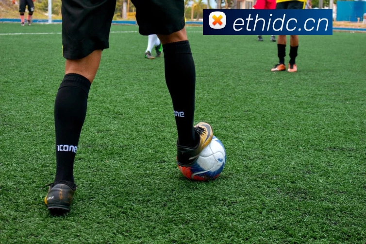 多媒体互动体验